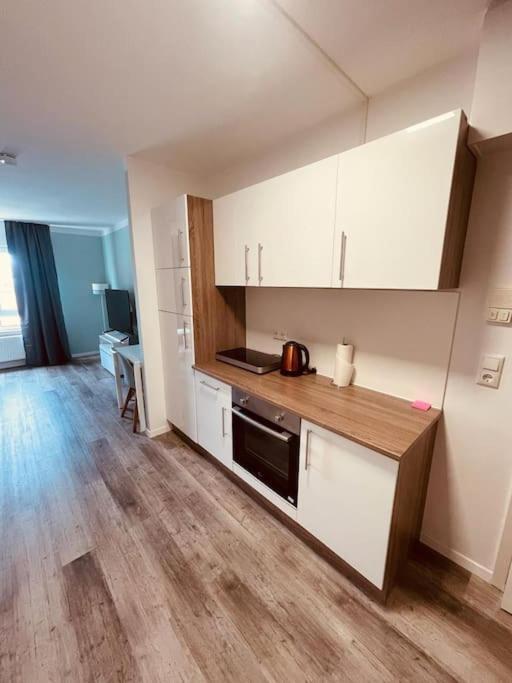 Cozy Apartment Central Location 02 마인츠 외부 사진